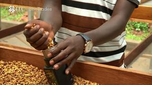 ITC SheTrades Rwanda | Digital Traceability and blockchain connecting women to more markets
